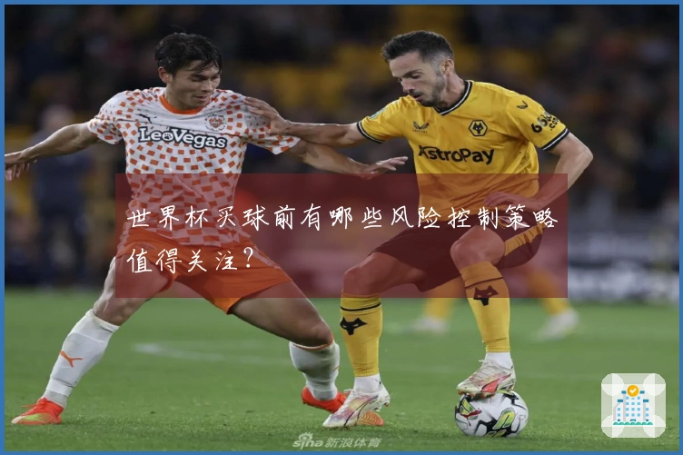 世界杯买球前有哪些风险控制策略值得关注？