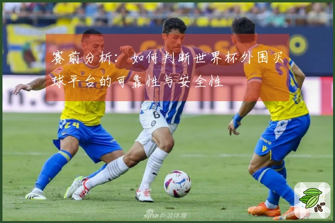 赛前分析：如何判断世界杯外围买球平台的可靠性与安全性
