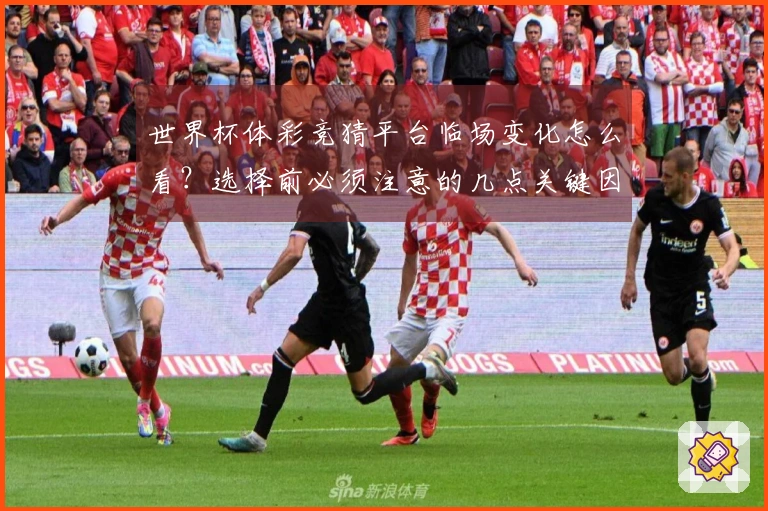 世界杯体彩竞猜平台临场变化怎么看?选择前必须注意的几点关键因素