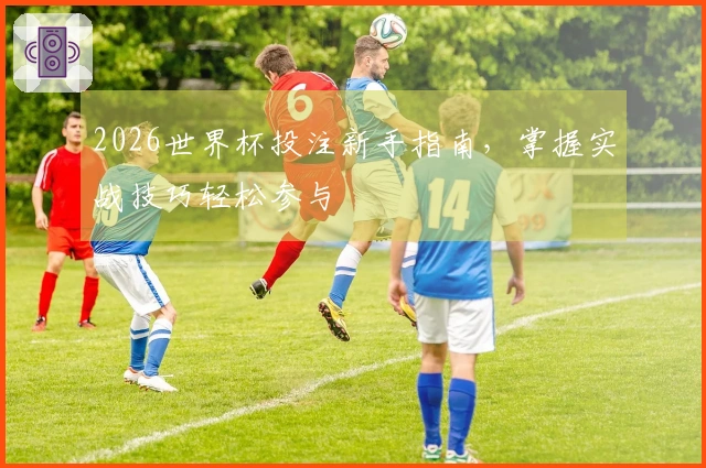 2026世界杯投注新手指南，掌握实战技巧轻松参与